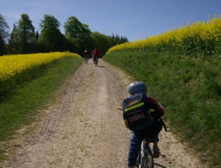 2007 Jungschar Radtour zwischen Rapsfeldern