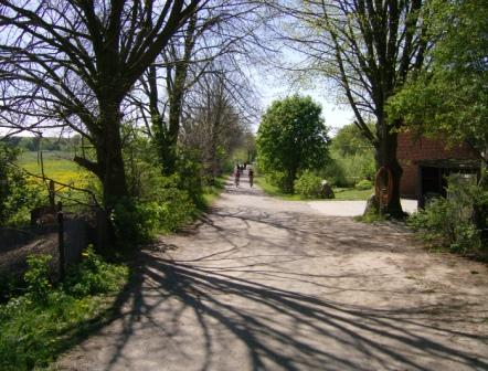 2007 Jungschar Radtour Sandweg vor dem Postsee