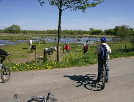 2007 Jungschar Radtour Pferdekoppel