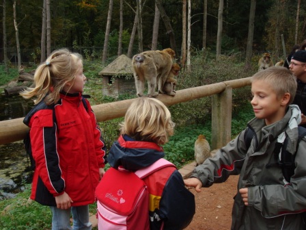 2007 Jungschar  Tierpark  Neumünster Affen