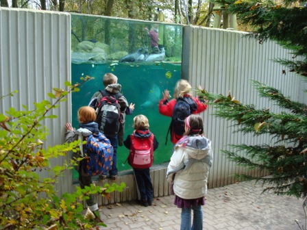 2007 Jungschar  Tierpark  Neumünster Scheibe 