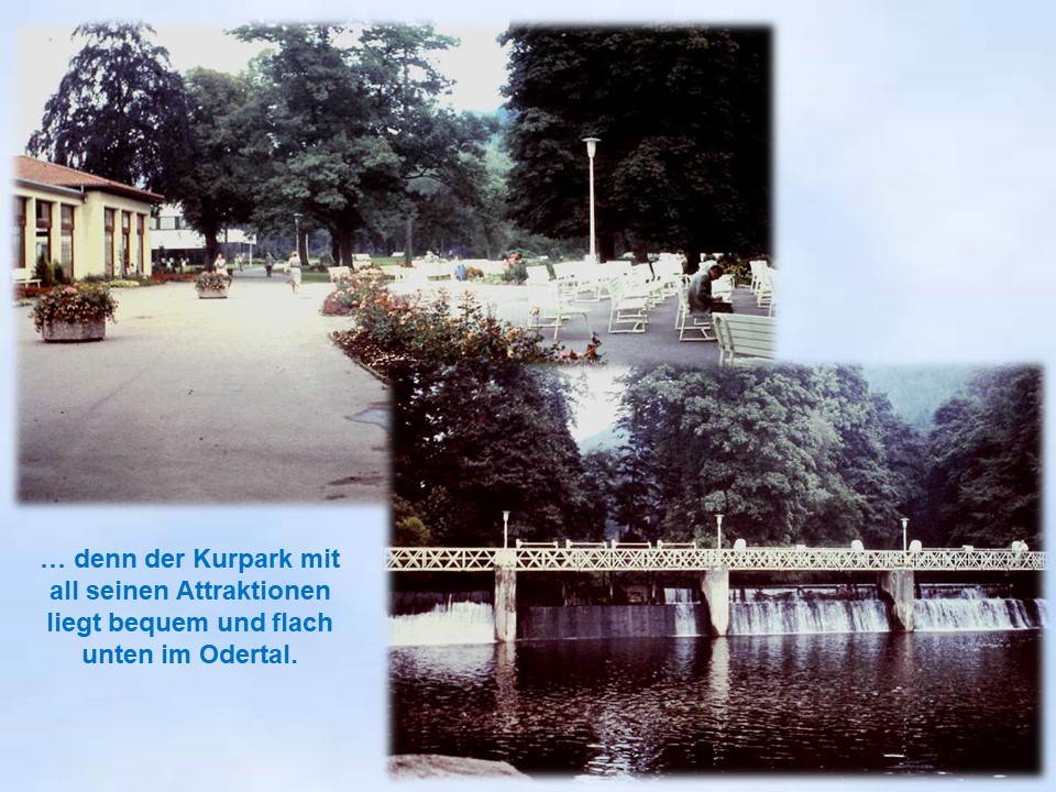 Sommerfahrt Bad Lauterberg Kurpark