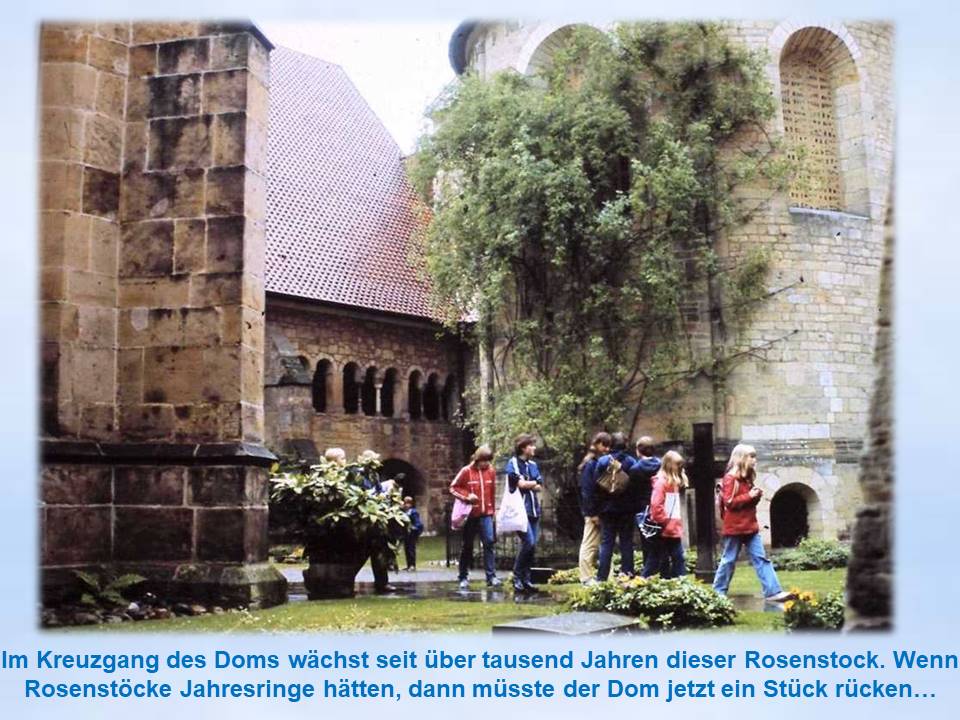 1983 Sommerfahrt Hildesheim, Dom Rosenstock