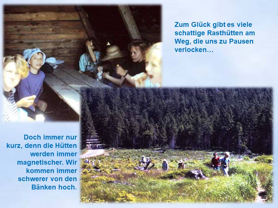Wernigerode Sommerfahrt 1991 Aufstieg zum Brockengipfel