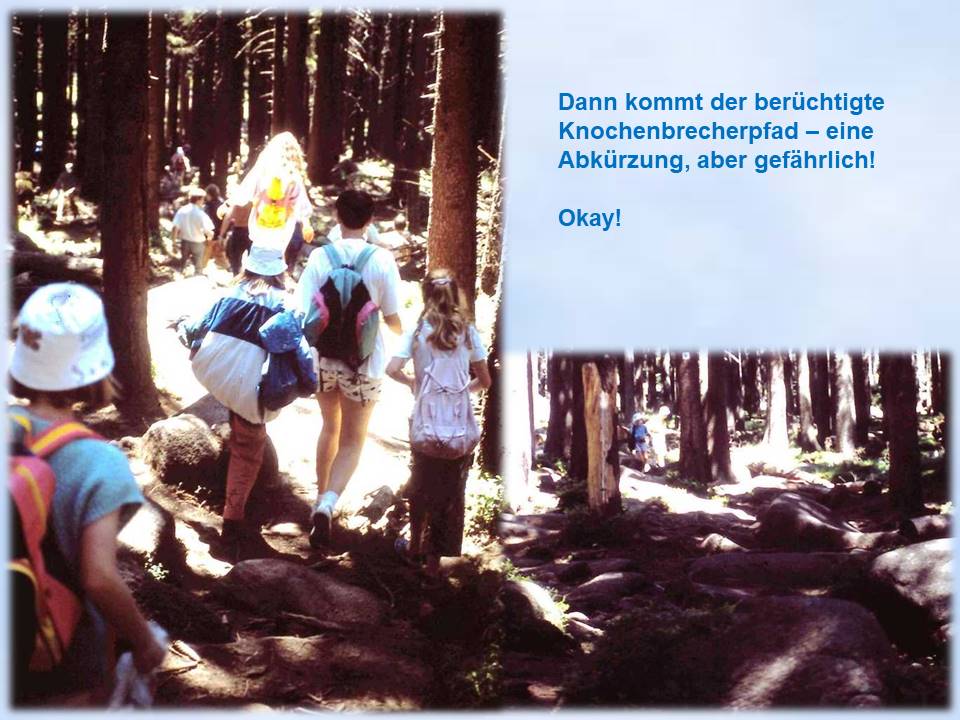 Brocken 1991 Knochenbrecherpfad