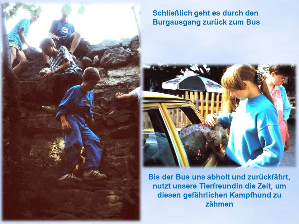 Jungschar Sommerfahrt 1991 Ruine Regenstein Abstieg