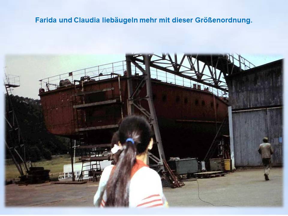 1993 Bodenwerder  Arminiuswerft Besichtigung