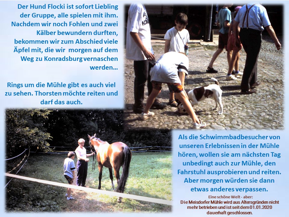 1994 Wassermühle, Pferd