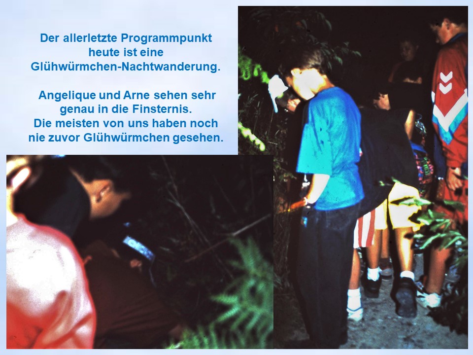 1995 Sommerfahrt Bad Iburg Glühwürmchenwanderung