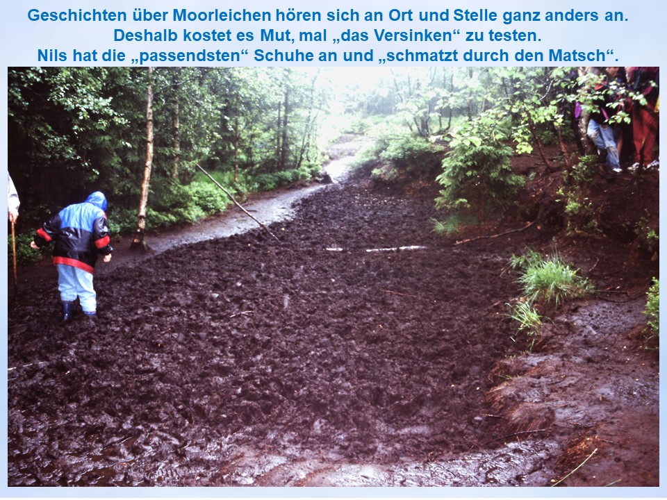 1996 Silberborn Hochmoor im Moor einsinken