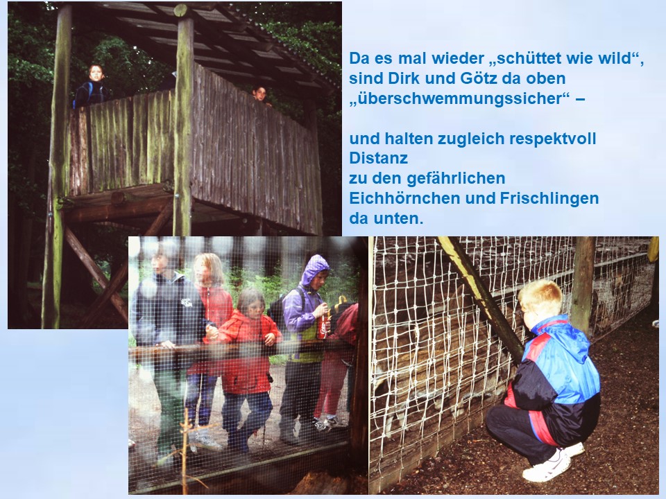 Wildgehege Neuhaus Kinder im Regen