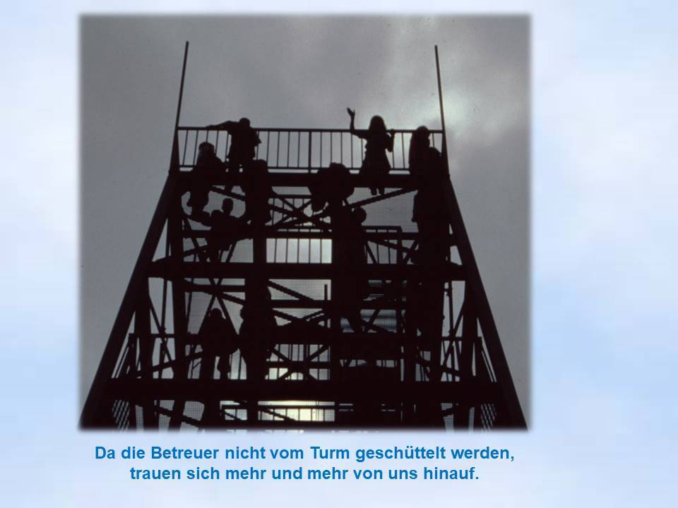 2000 Bodenwerder Bodoturm