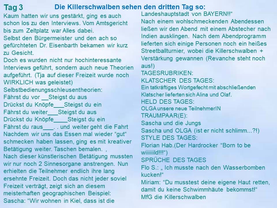 2003 Freizeitzeitung Killerschwalben