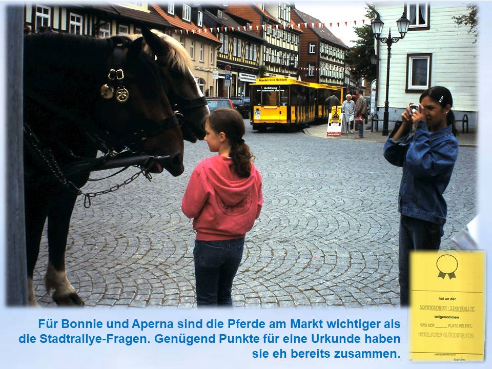 2004 Wernigerode Pferdekutsche Bimmelbahn am Markt