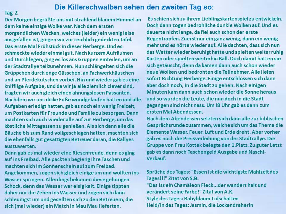 2004 Freizeitzeitung Killerschwalben