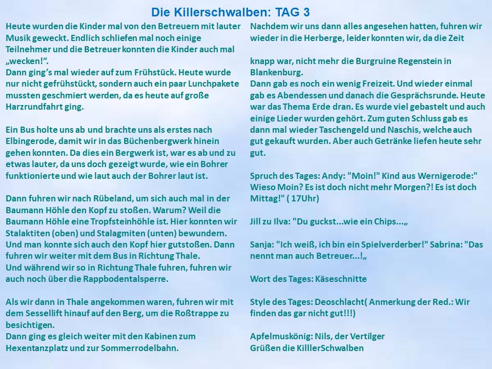 2004 Freizeitzeitung Killerschwalben