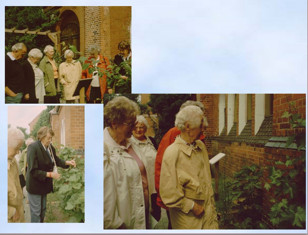 2005 Trinitatis Senioren bei der Ansgarkirche Bibelgarten