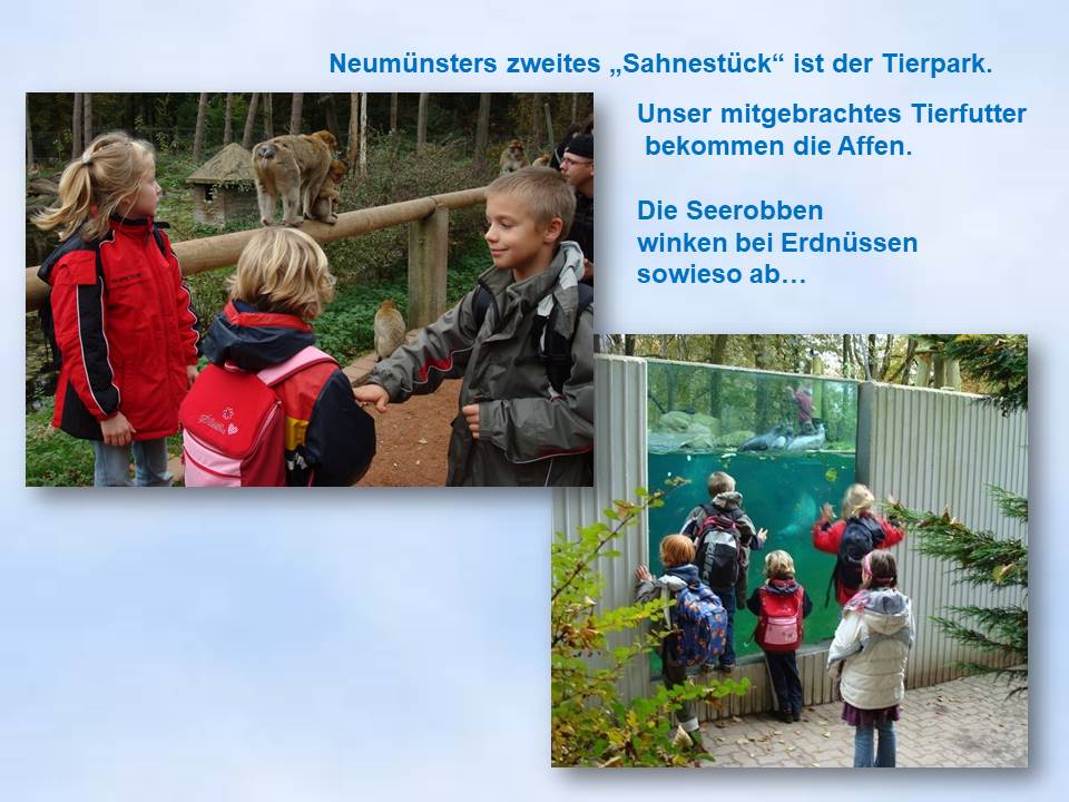 2007 Jungschar im Tierpark Neumünster