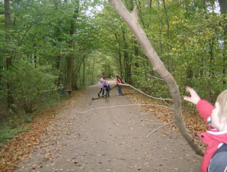 2008  Pln Trinritatisjungschar mit sten