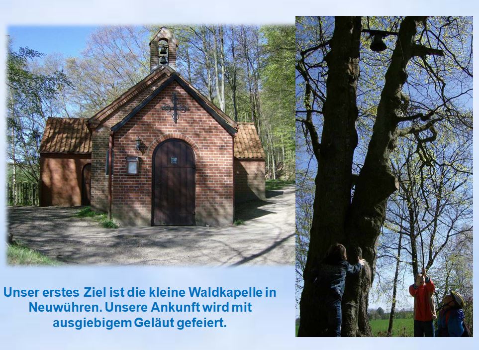 2009 Radtour Waldkapelle Neuwühren Baumglocke läuten