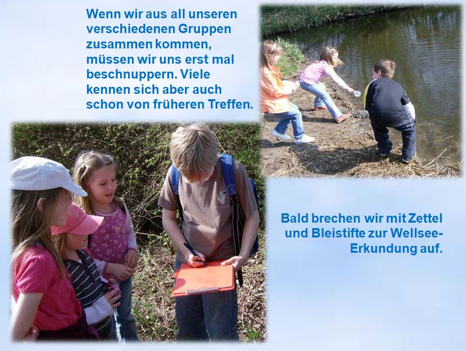 2009 Kinderkreise Trinitatis Wellsee Erkundung