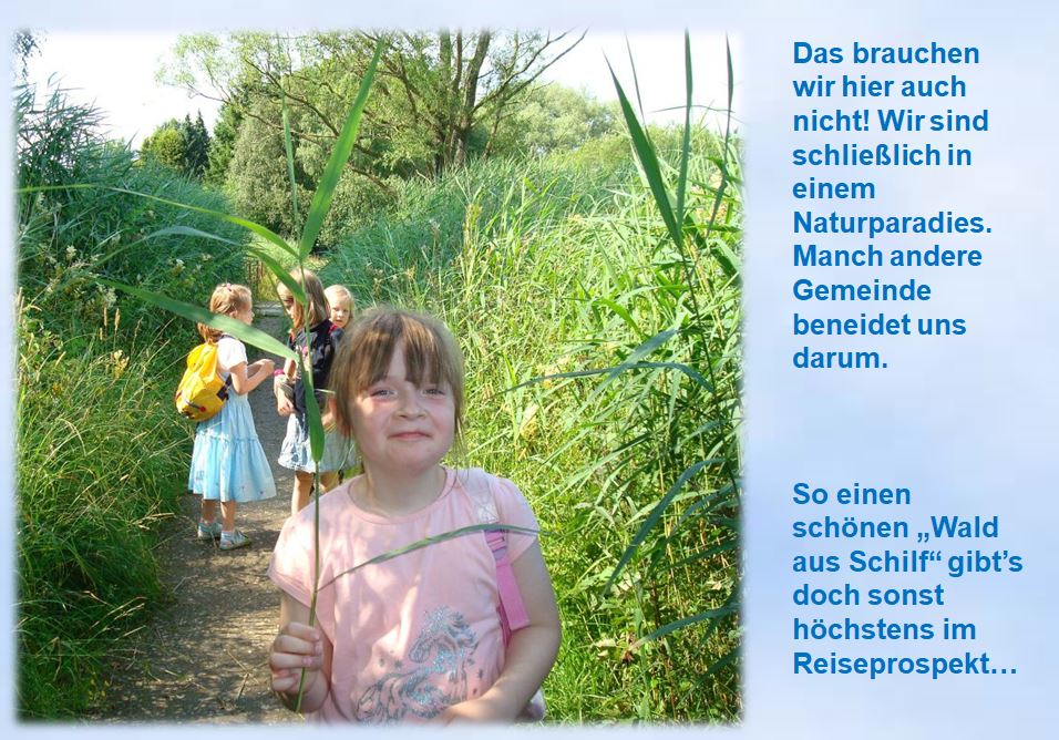 2009 Kinderkreise Trinitatis Aufbruch zum Trndelsee