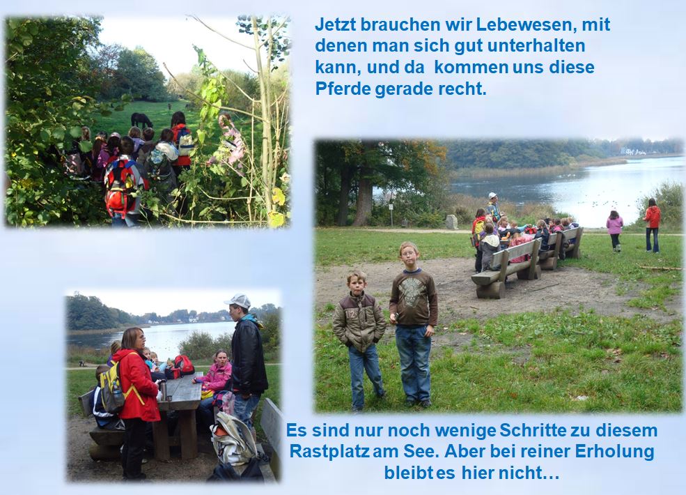 2009 Bordesholm  Wiese am Bordesholmer See