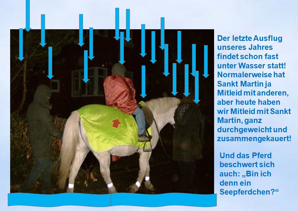 2010 Martinsumzug im Regen