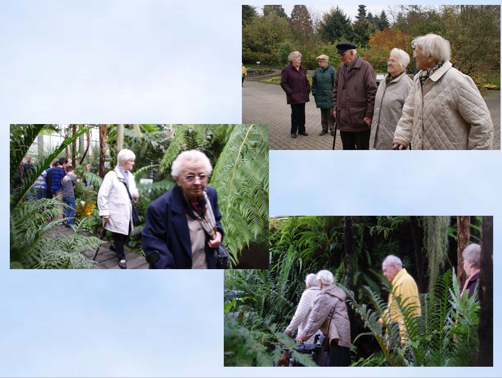 2011 Senioren  Botanischer Garten Kiel Gewchshaus