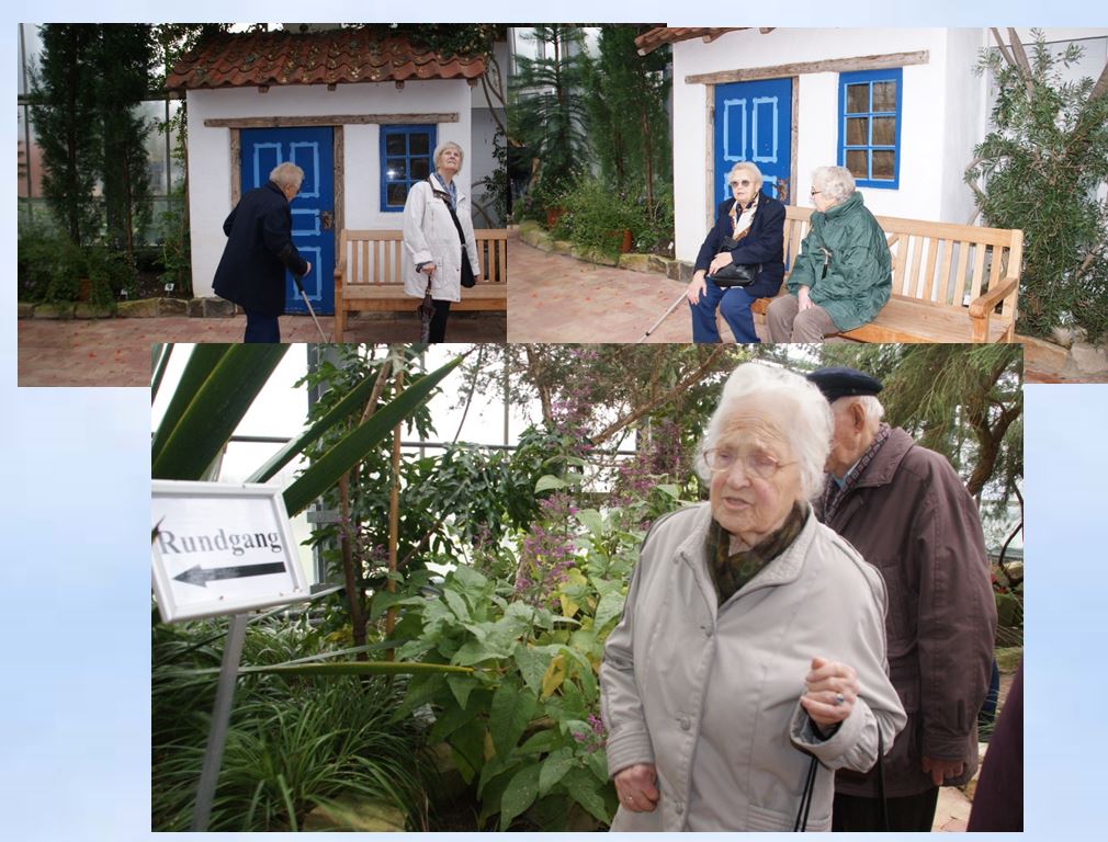 2011 Senioren  Botanischer Garten Kiel Gewchshaus