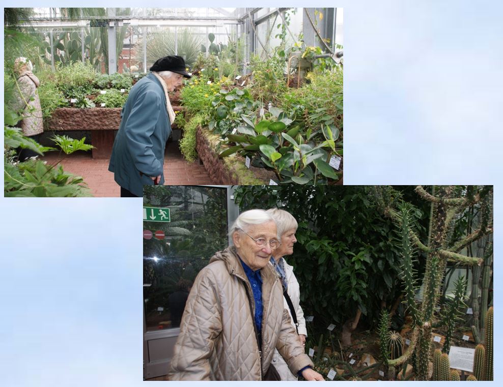 2011 Senioren  Botanischer Garten Kiel Gewchshaus