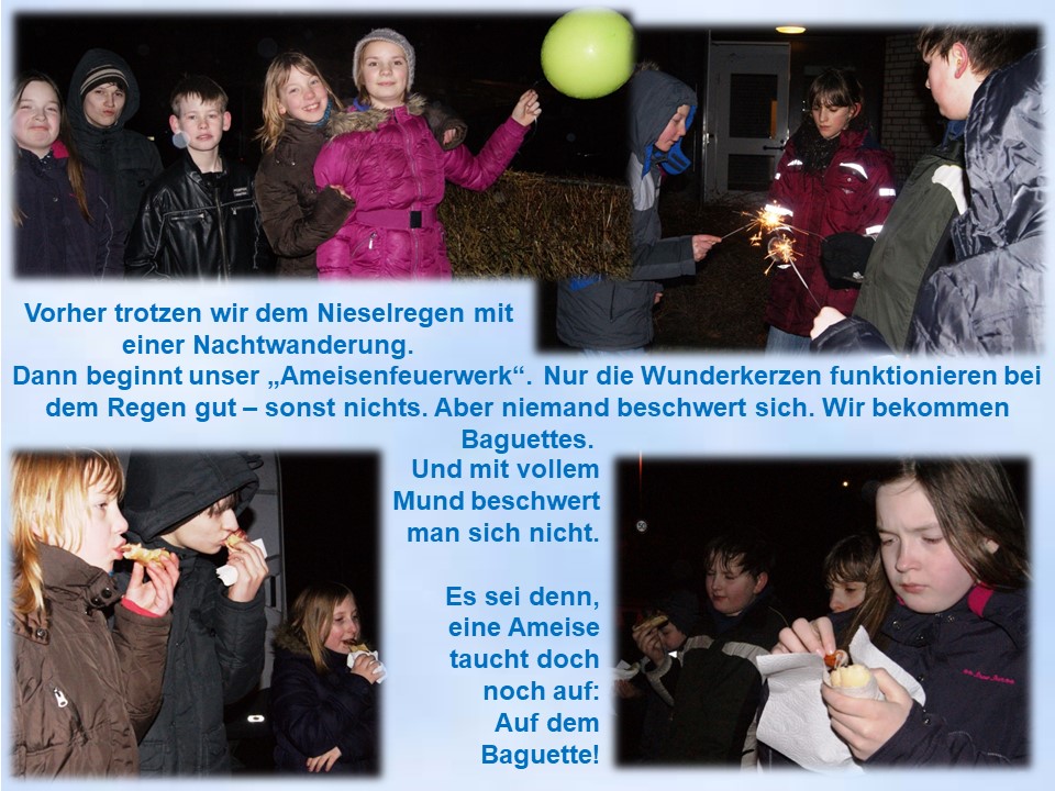 2013 Ameisenfeuerwerk