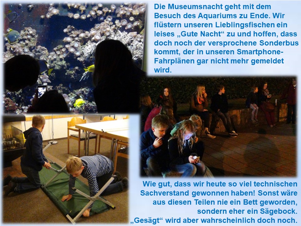 Museumsnacht Kiel 2014 Aquarium Jungschar