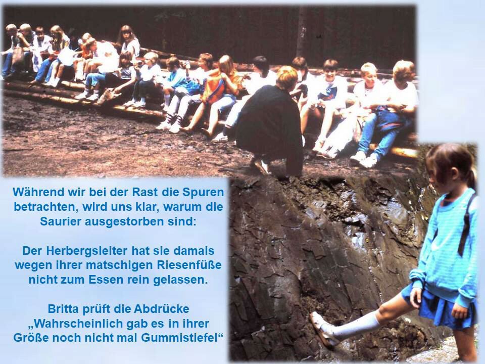 Saurierspuren  Bad Essen 1985